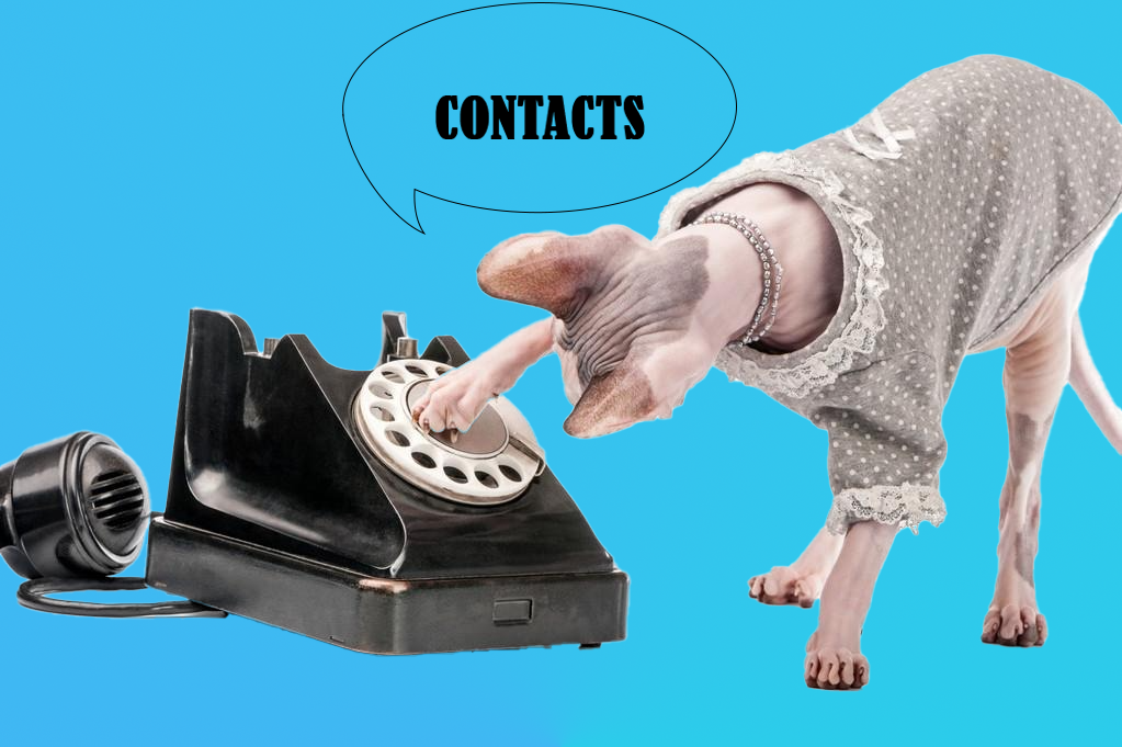 Consultation à l’Hôpital vétérinaire La P’tite Nation