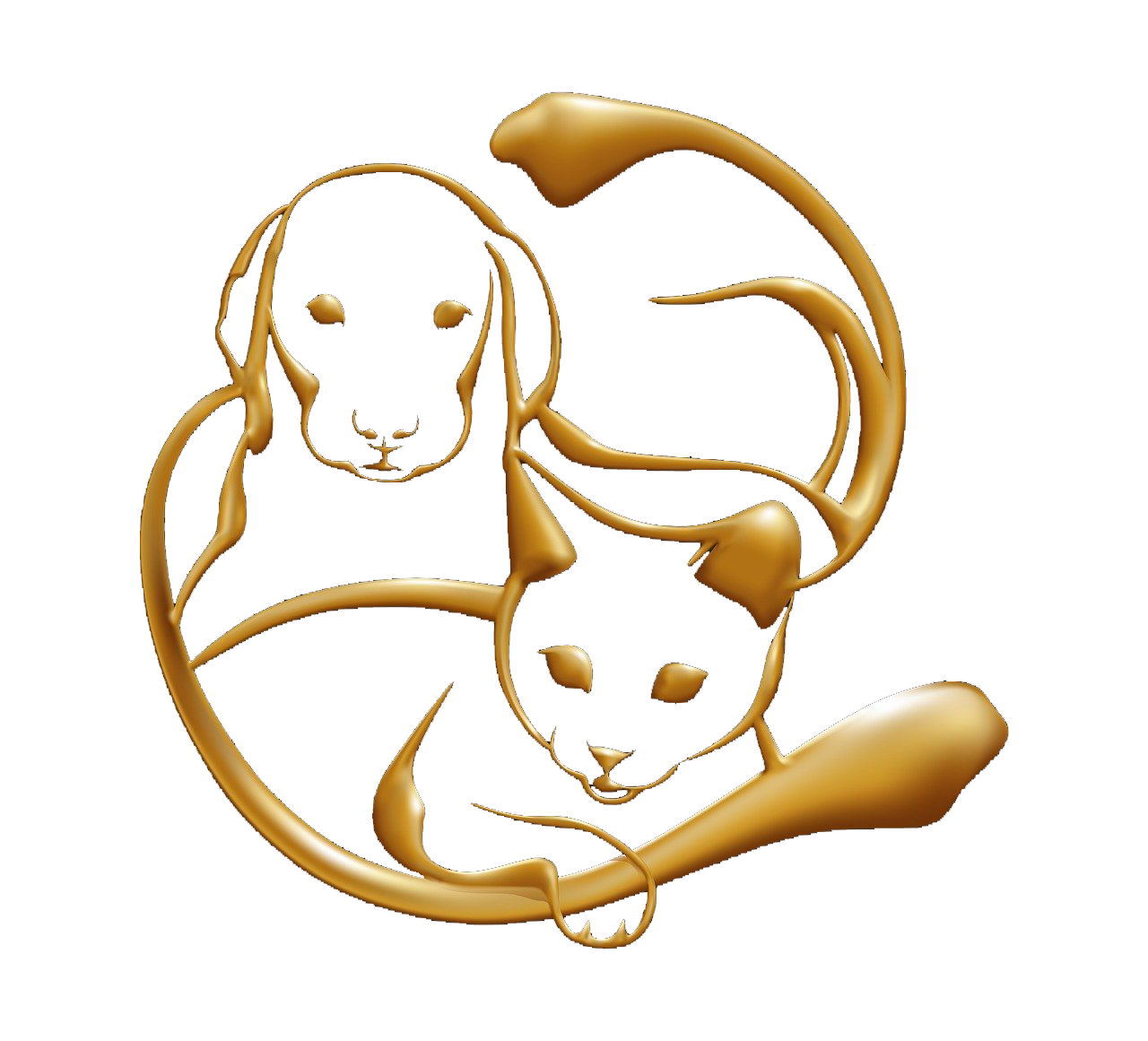 Hôpital Vétérinaire La P’tite Nation - site WordPress portfolio