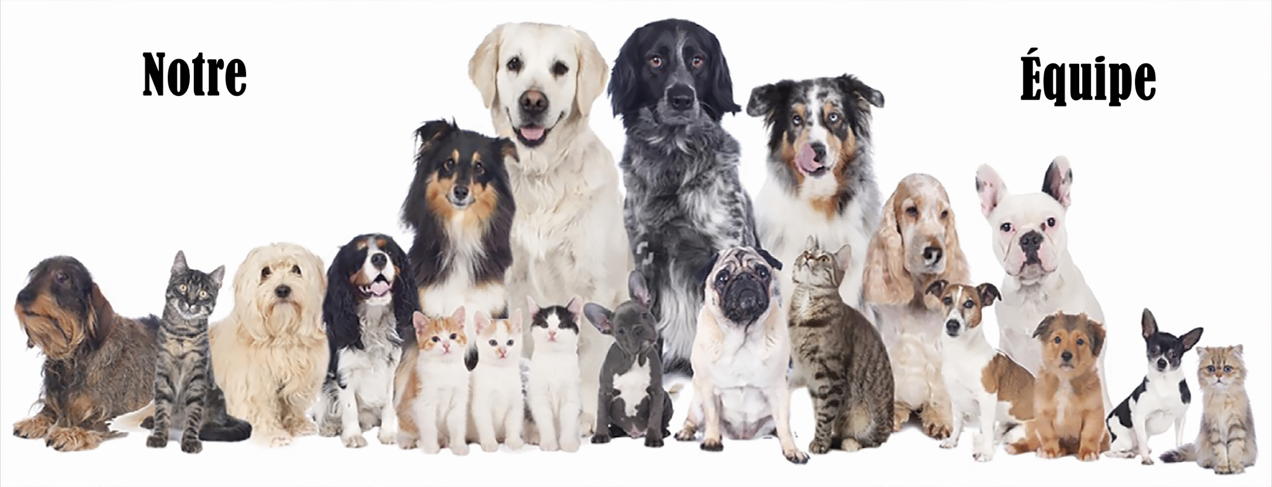 Notre Equipe