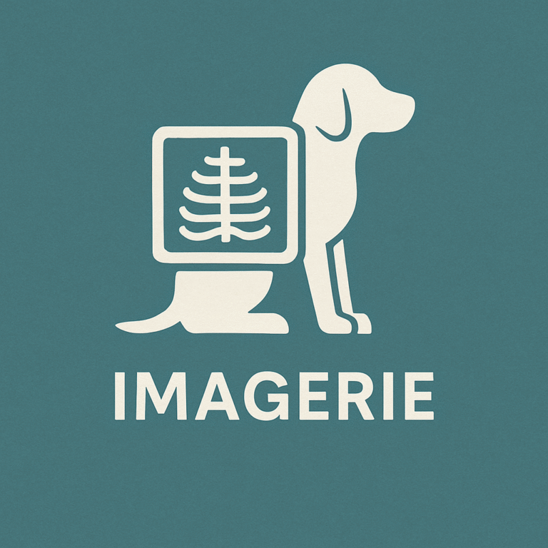 Imagerie à Petite-Nation pour animaux de compagnie
