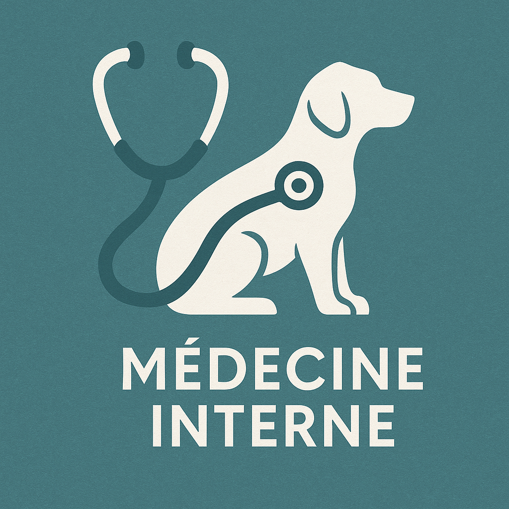 Service Médecine interne à Petite-Nation pour animaux de compagnie